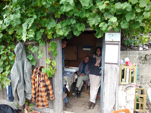 Winzerarbeit an der Mosel